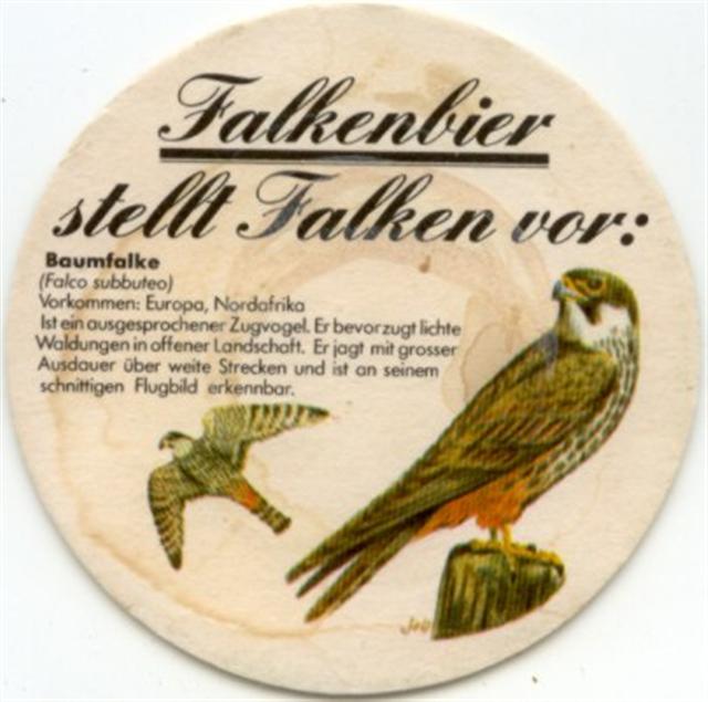 schaffhausen sh-ch falken stellt 1b (rund200-baumfalke) 